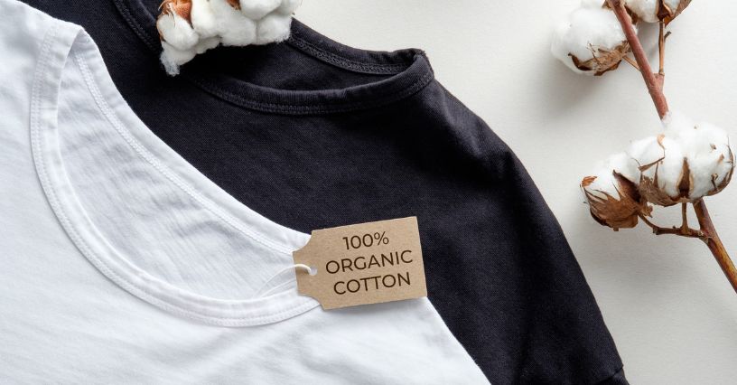 Gałązka suszonej bawełny obok t-shirtów z metką 100% organic cotton