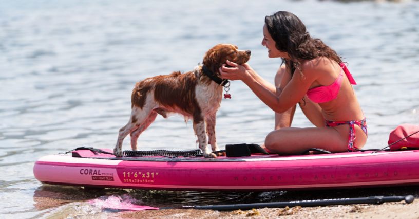 Kobieta głaszcząca psa po pływaniu na desce SUP
