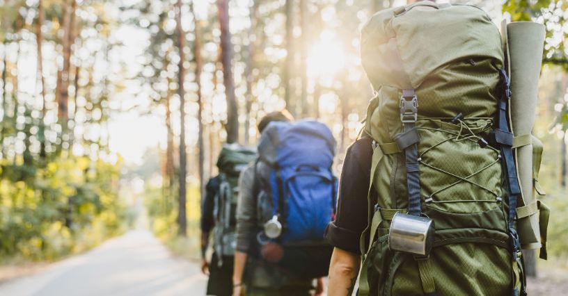 Grupa ludzi z dużymi plecakami turystycznymi idąca po leśnej drodze
