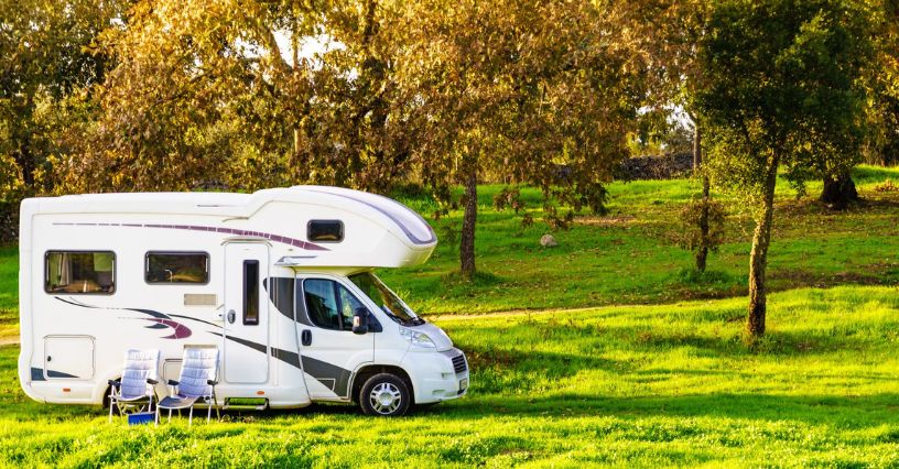 Kamper alkowa zaparkowany wśród drzew