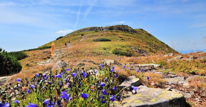 Szlak prowadzący na Babią Górę, Królową Beskidów, latem