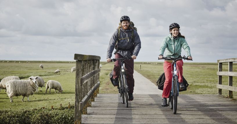 Dwoje rowerzystów w kaskach i z sakwami rowerowymi jedzie przez most w otoczeniu pola z owcami