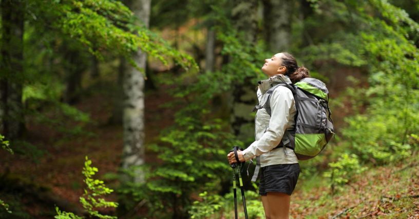 Kobieta w odzieży turystycznej i z plecakiem odpoczywa podczas wędrówki po lesie