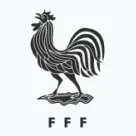 Koszulki reprezentacji Francji