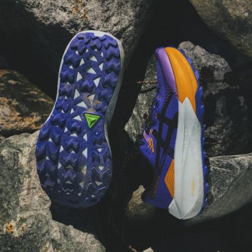 Buty do biegania męskie ASICS Trabuco Max 5 light dust/cacti