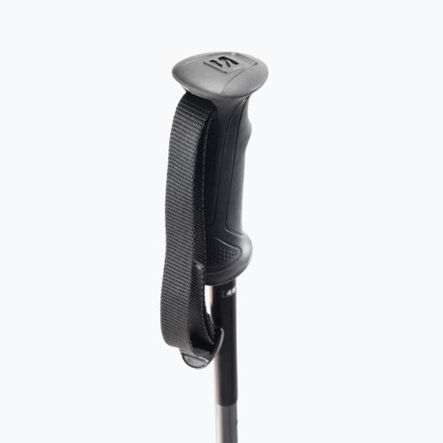Kije narciarskie Salomon Arctic black