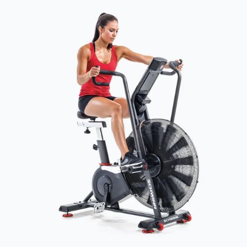 Rower powietrzny Schwinn Airdyne Ad8