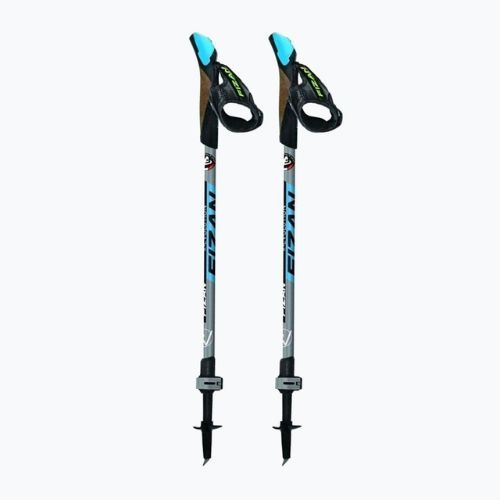 Kije nordic walking Fizan Revolution blue