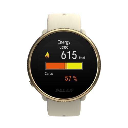 Zegarek Polar Ignite 2 Champagne/Gold