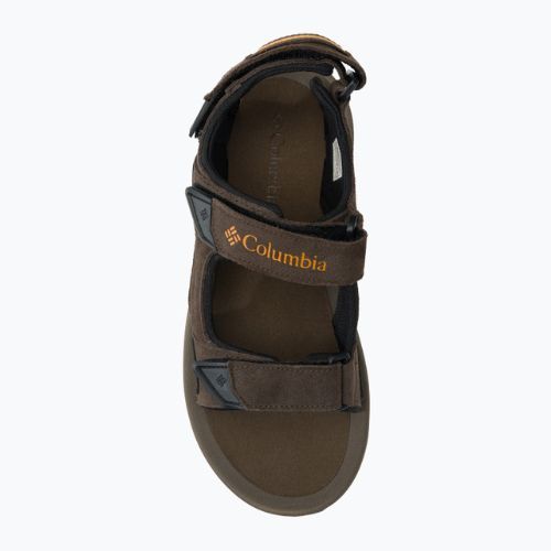 Sandały męskie Columbia Trailstorm Hiker 3 Strap cordovan/gold amber