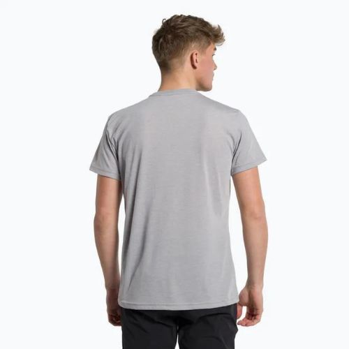 Koszulka męska Salewa Solidlogo Dry heather grey