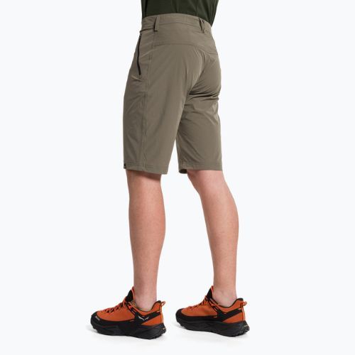 Spodenki trekkingowe męskie Salewa Talveno DST bungee cord
