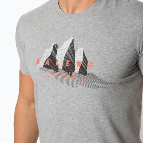 Koszulka trekkingowa męska Salewa Lines Graphic Dry heather grey