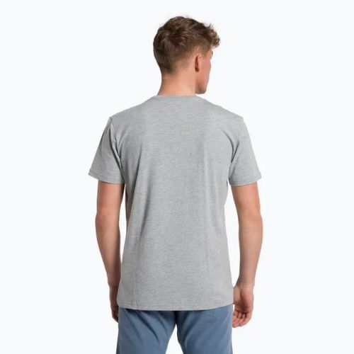 Koszulka trekkingowa męska Salewa Lines Graphic Dry heather grey