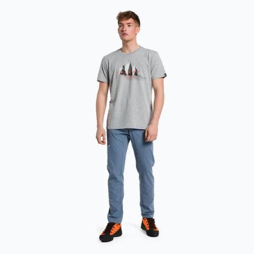 Koszulka trekkingowa męska Salewa Lines Graphic Dry heather grey