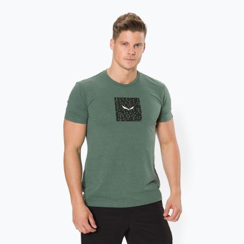 Koszulka trekkingowa męska Salewa Pure Box Dry raw green melange