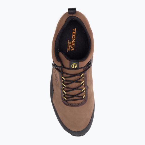 Buty trekkingowe męskie Tecnica Plasma GTX shadow savana/dusty fieno