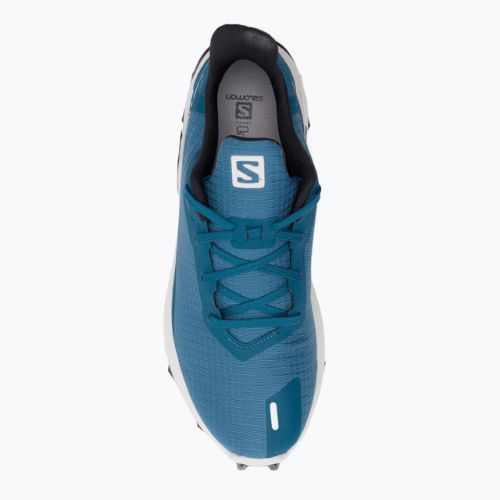 Buty do biegania męskie Salomon Alphacross 3 bluesteel/lunar rock/black