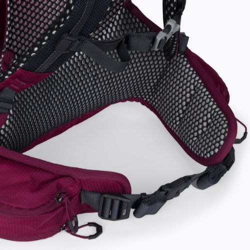 Plecak turystyczny Jack Wolfskin Crosstrail ST 22 l beaujolais