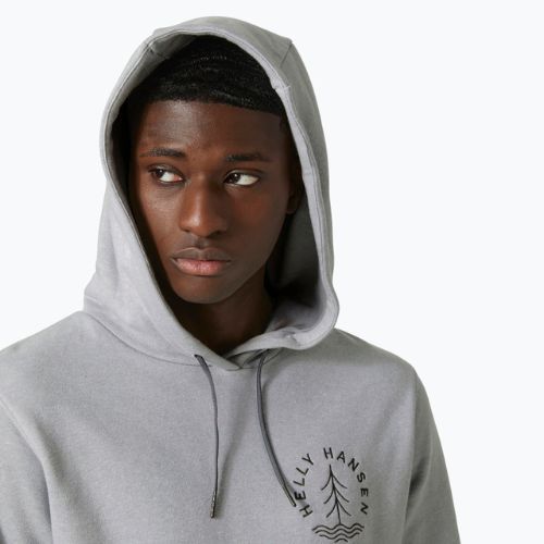 Bluza męska Helly Hansen F2F Organic Cotton Hoodie grey fog melange/squamish