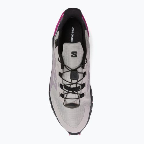 Buty do biegania damskie Salomon Supercross 4 GTX ashes of roses/b