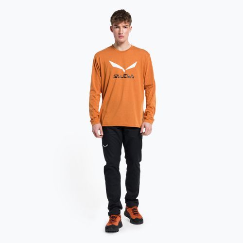 Longsleeve trekkingowy męski Salewa Solidlogo Dry autumnal melange