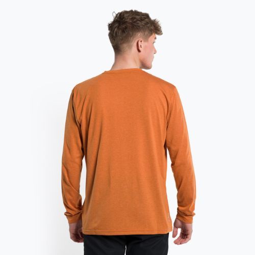 Longsleeve trekkingowy męski Salewa Solidlogo Dry autumnal melange