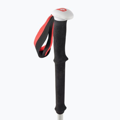 Kije skiturowe Black Diamond Expedition 2