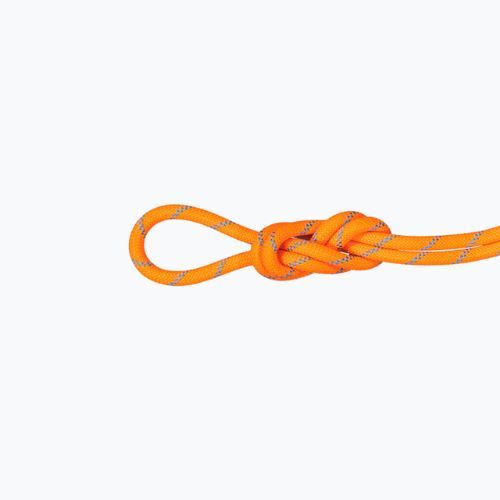 Lina wspinaczkowa Mammut 8.7 Alpine Sender Dry vibrant orange/orange