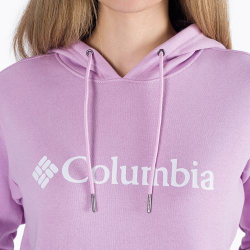 Bluza damska Columbia Logo Hoodie aura