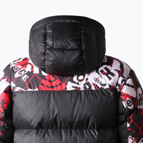 Kurtka puchowa męska The North Face Printed Hmlyn Down Parka lavender fog