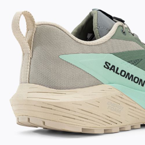 Buty do biegania męskie Salomon Sense Ride 5 lily/rainy day/bleached aqua