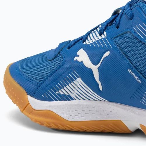 Buty do siatkówki PUMA Solarflash II royal/puma white