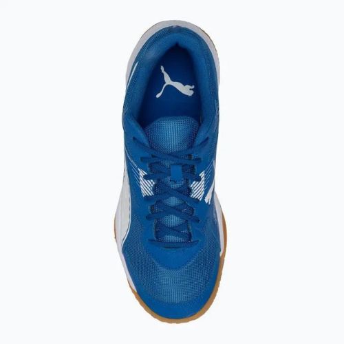 Buty do siatkówki PUMA Solarflash II royal/puma white