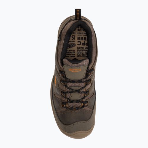 Buty trekkingowe męskie KEEN Circadia WP canteen/curry