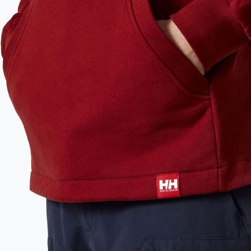 Bluza męska Helly Hansen Arctic Ocean Hoodie oxblood