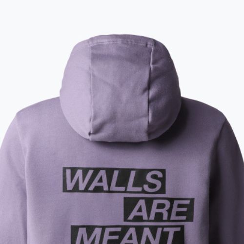 Bluza trekkingowa damska The North Face Outdoor Graphic Hoodie Light lunar slate