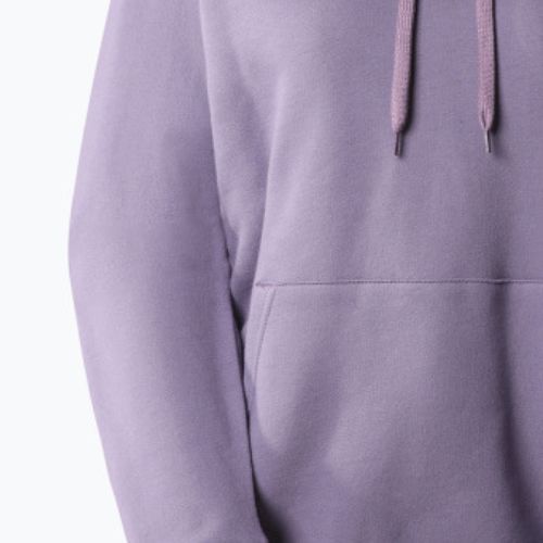 Bluza trekkingowa damska The North Face Outdoor Graphic Hoodie Light lunar slate