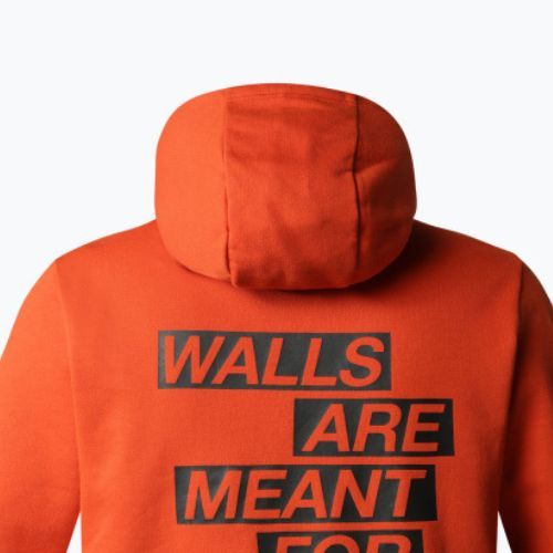 Bluza trekkingowa męska The North Face Outdoor Graphic Hoodie Light rusted bronze