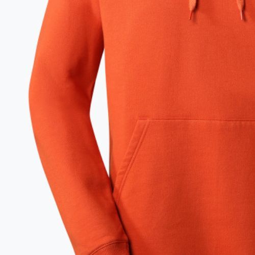 Bluza trekkingowa męska The North Face Outdoor Graphic Hoodie Light rusted bronze