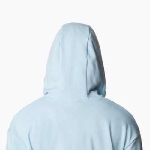 Bluza damska Columbia Logo III French Terry spring blue