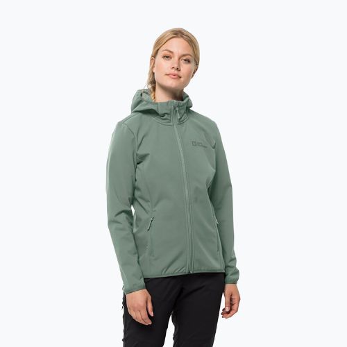 Kurtka softshell damska Jack Wolfskin Bornberg Hoody picnic green