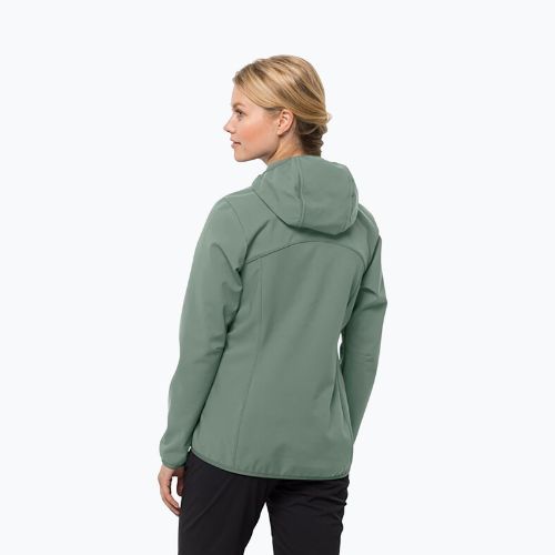 Kurtka softshell damska Jack Wolfskin Bornberg Hoody picnic green