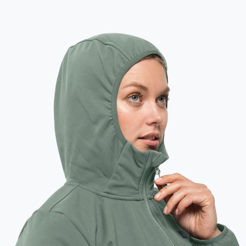 Kurtka softshell damska Jack Wolfskin Bornberg Hoody picnic green