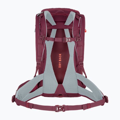Plecak trekkingowy damski Salewa Alp Trainer 20 l dark purple