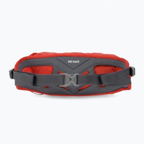 Saszetka nerka Salewa Lite Train Hipbelt flame