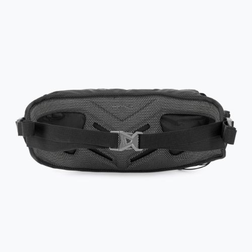 Saszetka nerka Salewa Lite Train Hipbelt black