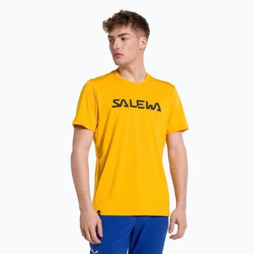 Koszulka trekkingowa męska Salewa Puez Hybrid 2 Dry gold melange