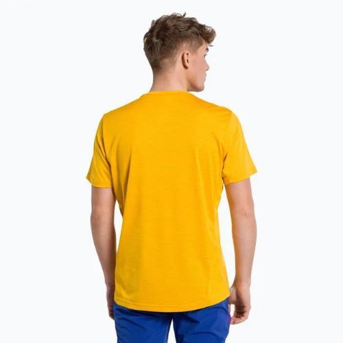 Koszulka trekkingowa męska Salewa Puez Hybrid 2 Dry gold melange
