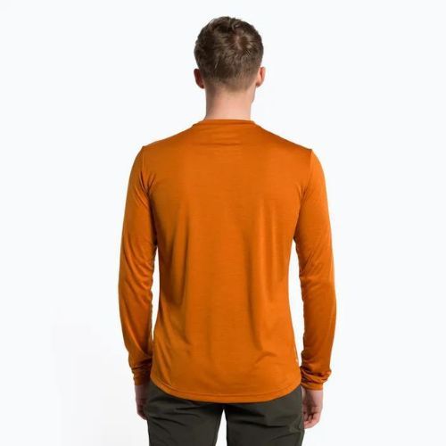 Longsleeve trekkingowy męski Salewa Puez Melange Dry autumnal melange